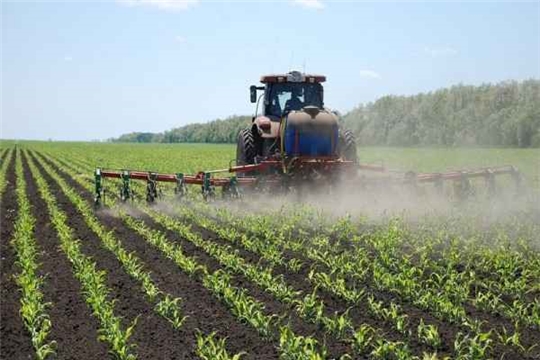 Правительство утвердило перечень общедоступной информации о применении пестицидов и агрохимикатов