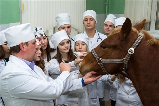 Минсельхоз РФ: ветеринарное образование должно ориентироваться на продуктивное животноводство  