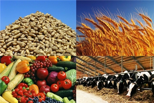 С начала года аграрии Чувашии произвели продукции на 7 млрд. рублей
