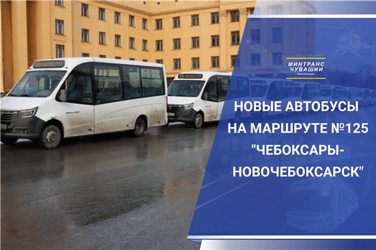 С 16 марта на межмуниципальном маршруте №125 начнут курсировать новые автобусы