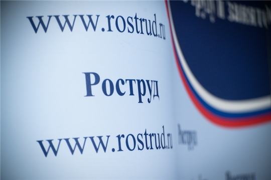 Опрос «Работы в России»: большинство опрошенных россиян готовы пройти тестирование при трудоустройстве