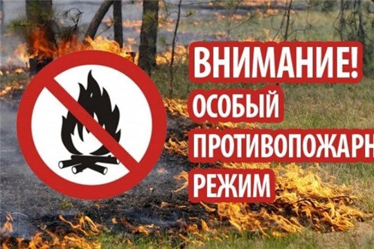 С 15 апреля в Чувашии установлен особый противопожарный режим