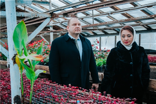Где зимой растут цветы? Денис Спирин посетил чебоксарский «Зеленстрой»
