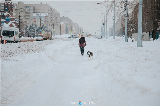 Доступная Гражданская: Денис Спирин поручил разобраться с жалобами по уборке снега
