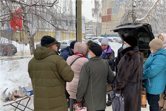 Работали с нарушением схемы размещения нестационарных торговых объектов