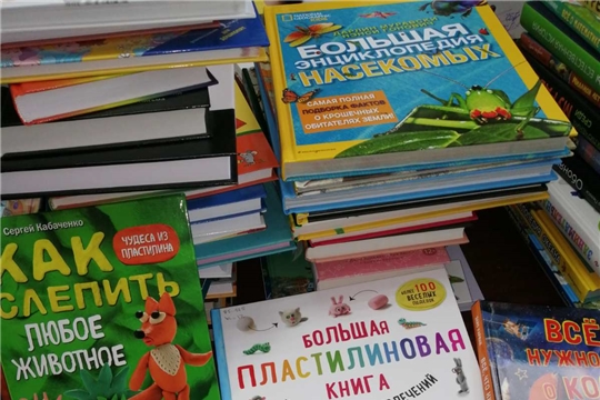 Фонд  библиотечной системы Порецкого района пополнился новыми книгами