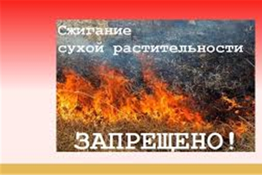 С установлением теплой погоды происходит осложнение обстановки с пожарами 