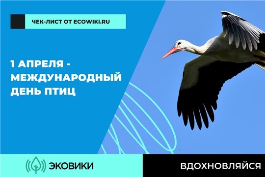 Как отметить Международный день птиц: чек-лист от Ecowiki.ru