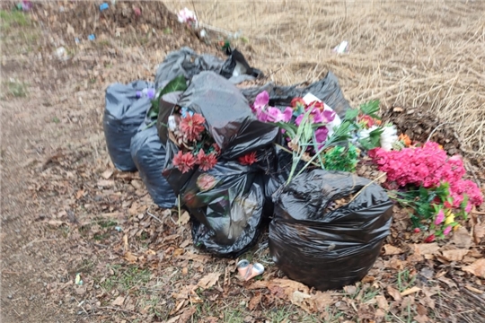 Мероприятия в рамках месячника по благоустройству и санитарной очистке территории прошли в Нижнекумашкинском территориальном отделе