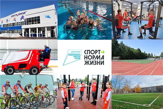 В 2022 году на реализацию регионального проекта «Спорт – норма жизни» направят более 252,7 млн рублей
