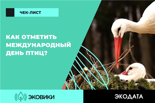 Как отметить Международный день птиц: чек-лист от Ecowiki.ru
