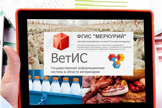 Система «Меркурий»