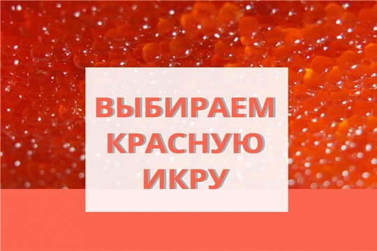 Выбираем красную икру правильно: как отличить фальсификат, что должно быть на этикетке и какие могут быть в икре консерванты