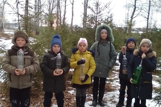 В селе Чутеево школьники провели экологическую акцию «Покорми птиц»