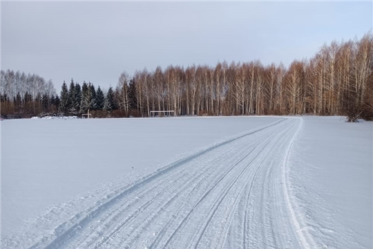 Лыжня зовет! Давайте проведем новогодние каникулы с пользой