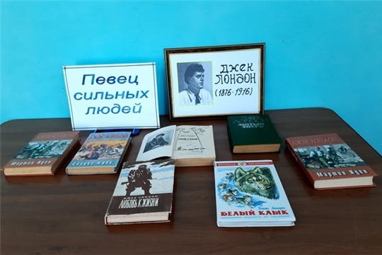 Книжная выставка «Певец сильных людей» в Алтышевской сельской библиотеке