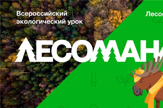 О Всероссийском экологическом уроке «Лесомания»