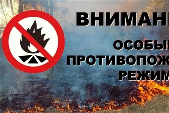 С 25 апреля 2021 года на территории республики установлен особый противопожарный режим
