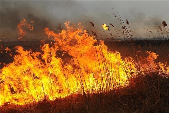 На территории Республики ожидается «ЖЕЛТЫЙ» уровень пожарной опасности