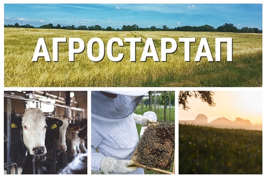 В правила предоставления гранта «Агростартап» вносятся изменения