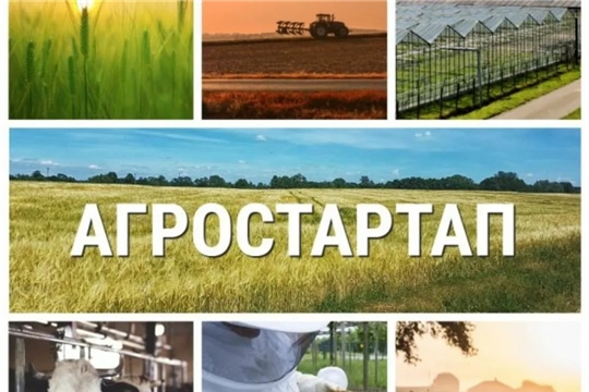 Начался конкурсный отбор проектов на получение грантов «Агростартап»