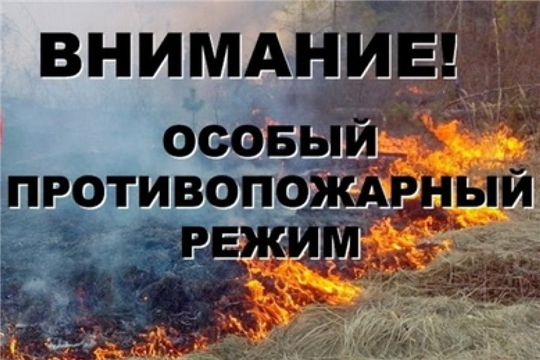 С 25 апреля в Чувашии установлен особый противопожарный режим