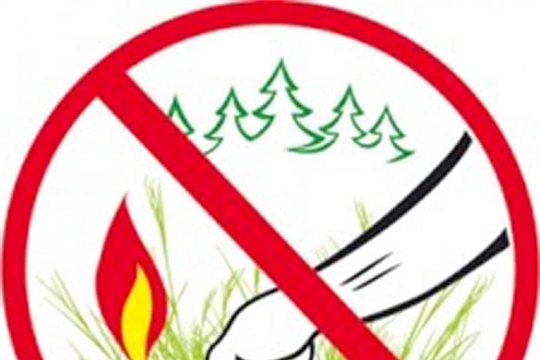 В 2020 году на территории Чебоксарского района произошло 29 возгораний сухой травы