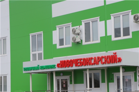 Главы сельских поселений Чебоксарского района посетили тепличный комплекс «Новочебоксарский»