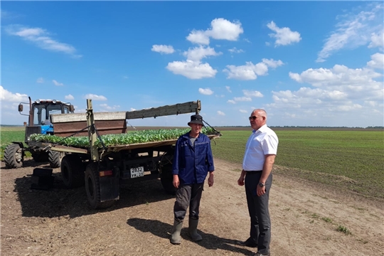 Аграрии Чебоксарского района на этой неделе планируют завершить сев яровых зерновых и зернобобовых культур