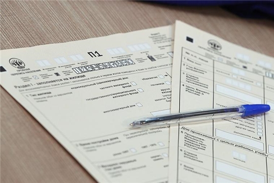 На Всероссийскую перепись выделят 6,9 млрд рублей