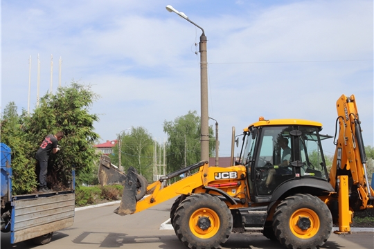 Работники МУП «Алатырьторгсервис» провели высадку туй у городской администрации