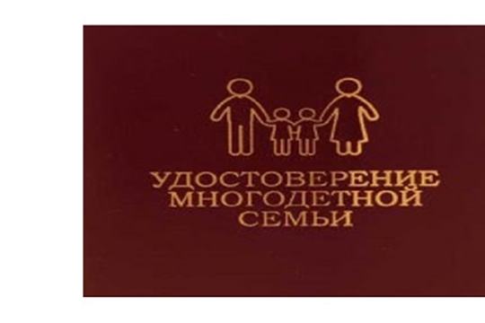 В отделах социальной защиты населения республики продолжается выдача удостоверений многодетным семьям