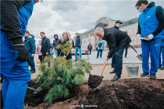 В Чебоксарах приступили ко второму этапу озеленения Красной площади