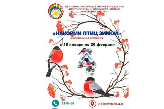 В Чебоксарах стартовал экологический онлайн-фотомарафон «Накорми птиц зимой»