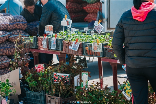 24 и 25 апреля в Чебоксарах вновь развернулись ярмарки по продаже сельскохозпродукции «Весна-2021»