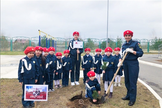Аллея Памяти: чебоксарские детские сады участвуют во всероссийском патриотическом проекте