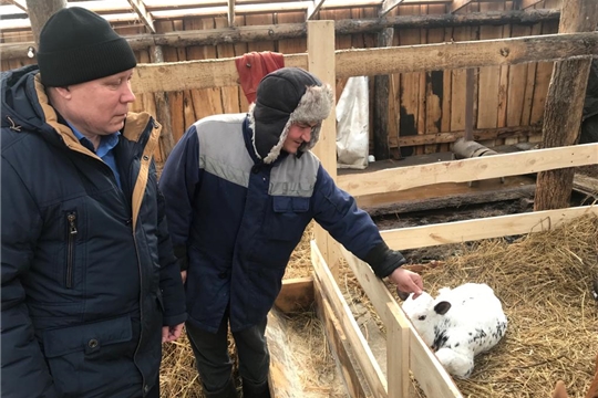 Выездная группа в КФХ Иванова В.В. и КФХ Семенова А.В.