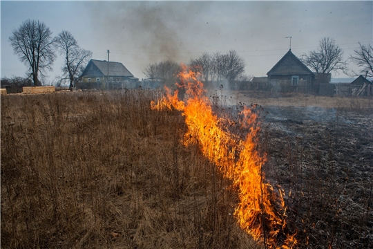 Что нужно знать при  сжигании сухой травы и мусора!