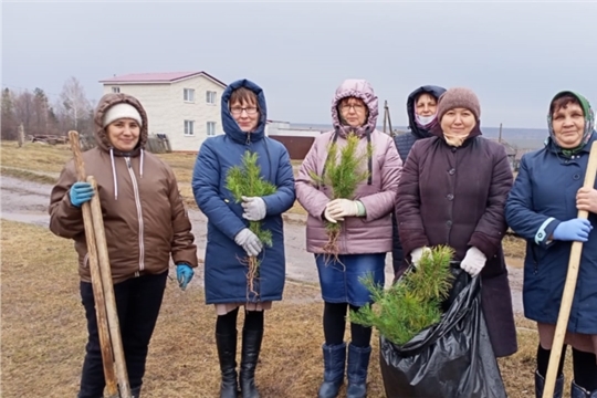 Акция «Сад Памяти» в Шакуловском сельском поселении