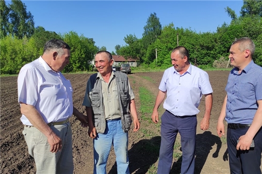 В районе выполнили план сева зерновых культур