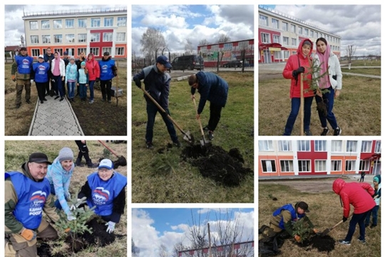 Акция "Посади дерево" в МБОУ "Комсомольская СОШ №1"