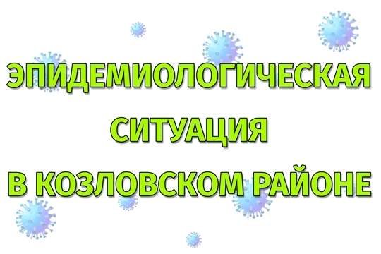 Эпидемиологическая ситуация в Козловском районе на 29 января