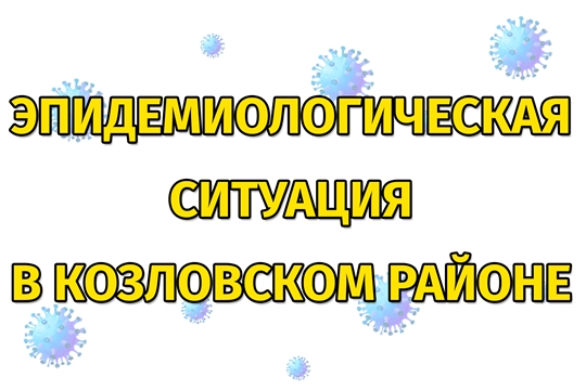 Эпидемиологическая ситуация в Козловском районе на 9 февраля