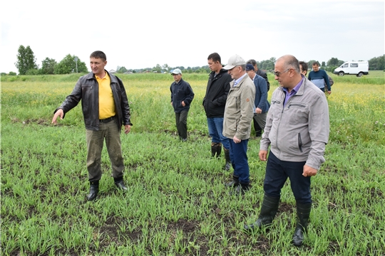 В Красночетайском районе в преддверии праздника «Акатуй» прошла приемка посевов