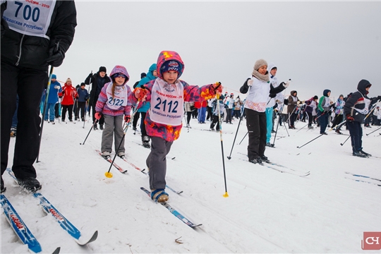 В Чувашии идёт подготовка к Всероссийской массовой лыжной гонке «Лыжня России». Центральный старт назначен на 13 февраля