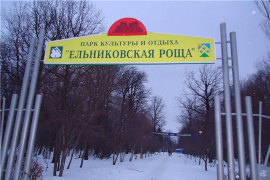 Маршрут здоровья в Ельниковской роще Новочебоксарска занесен в Единый Реестр маршрутов здоровья России