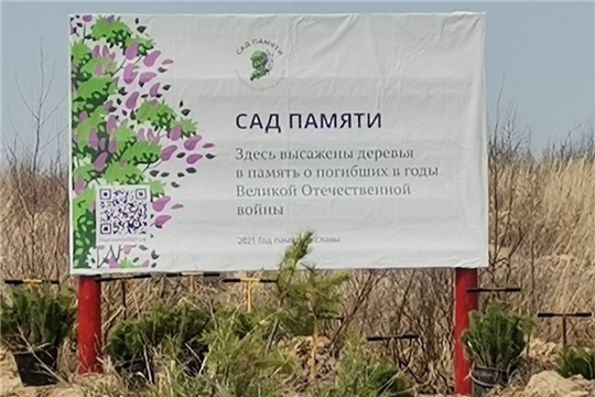 Минздрав Чувашии принял участие в Международной акции «Сад памяти»