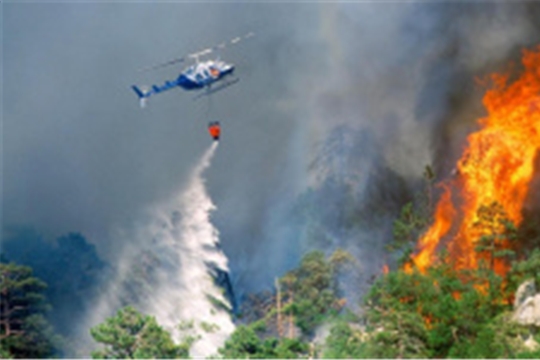 Утверждена «дорожная карта» по совершенствованию системы охраны лесов от пожаров