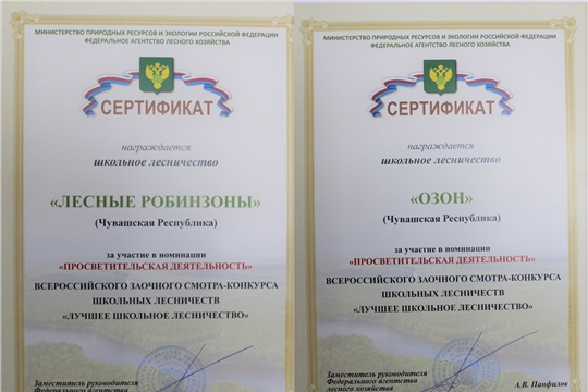 Подведены итоги Всероссийского заочного конкурса школьных лесничеств