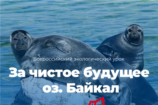 Учителей приглашают провести  видеоурок,  посвященный  самому знаменитому озеру России